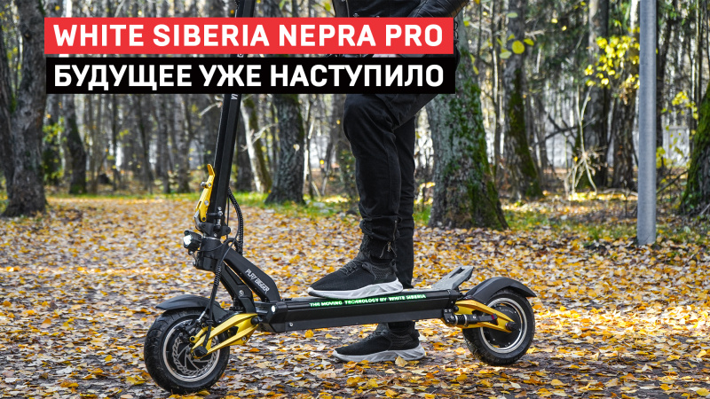 NERPA PRO 3600W